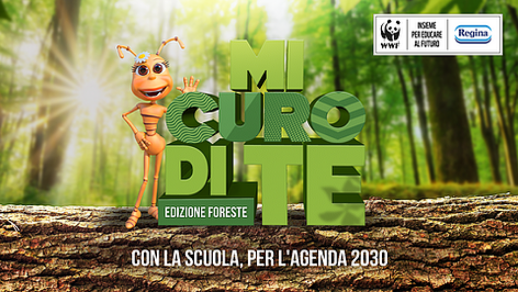 Cittadinanza